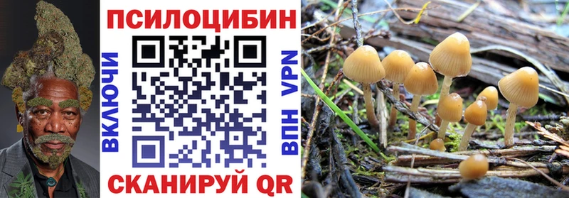 Галлюциногенные грибы Psilocybe  что такое наркотик  Троицк 