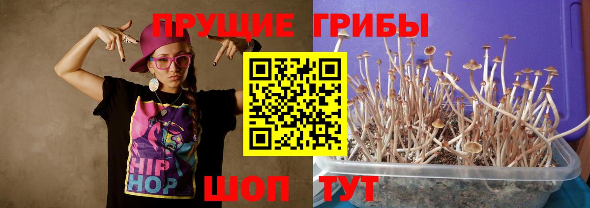 Троицк  Галлюциногенные грибы мухоморы  Вход с VPN 
